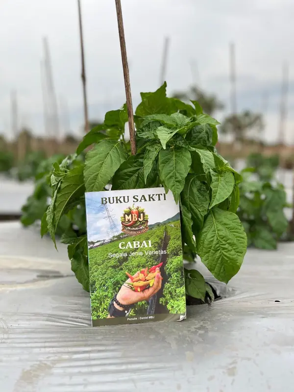 Buku Sakti Seniman Pertanian — Panduan Cabai Segala Varietas oleh Daniel MBJ